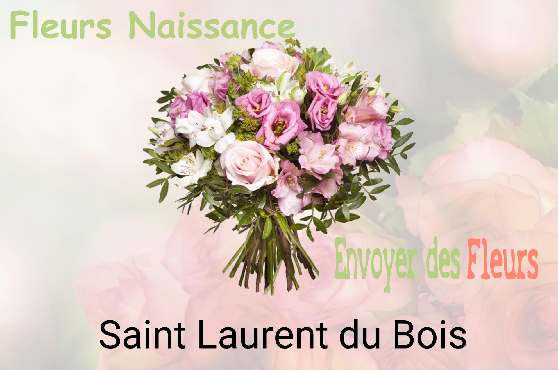 Bouquet de fleurs de naissance livré à Saint-Laurent-du-Bois